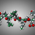 Do the Peptides in Your Skincare Actually Get In The Penetration Problem the Marketing Skips, Decoded Peptide by Peptide