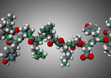 Do the Peptides in Your Skincare Actually Get In The Penetration Problem the Marketing Skips, Decoded Peptide by Peptide