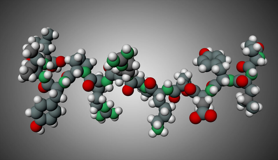 Do the Peptides in Your Skincare Actually Get In The Penetration Problem the Marketing Skips, Decoded Peptide by Peptide